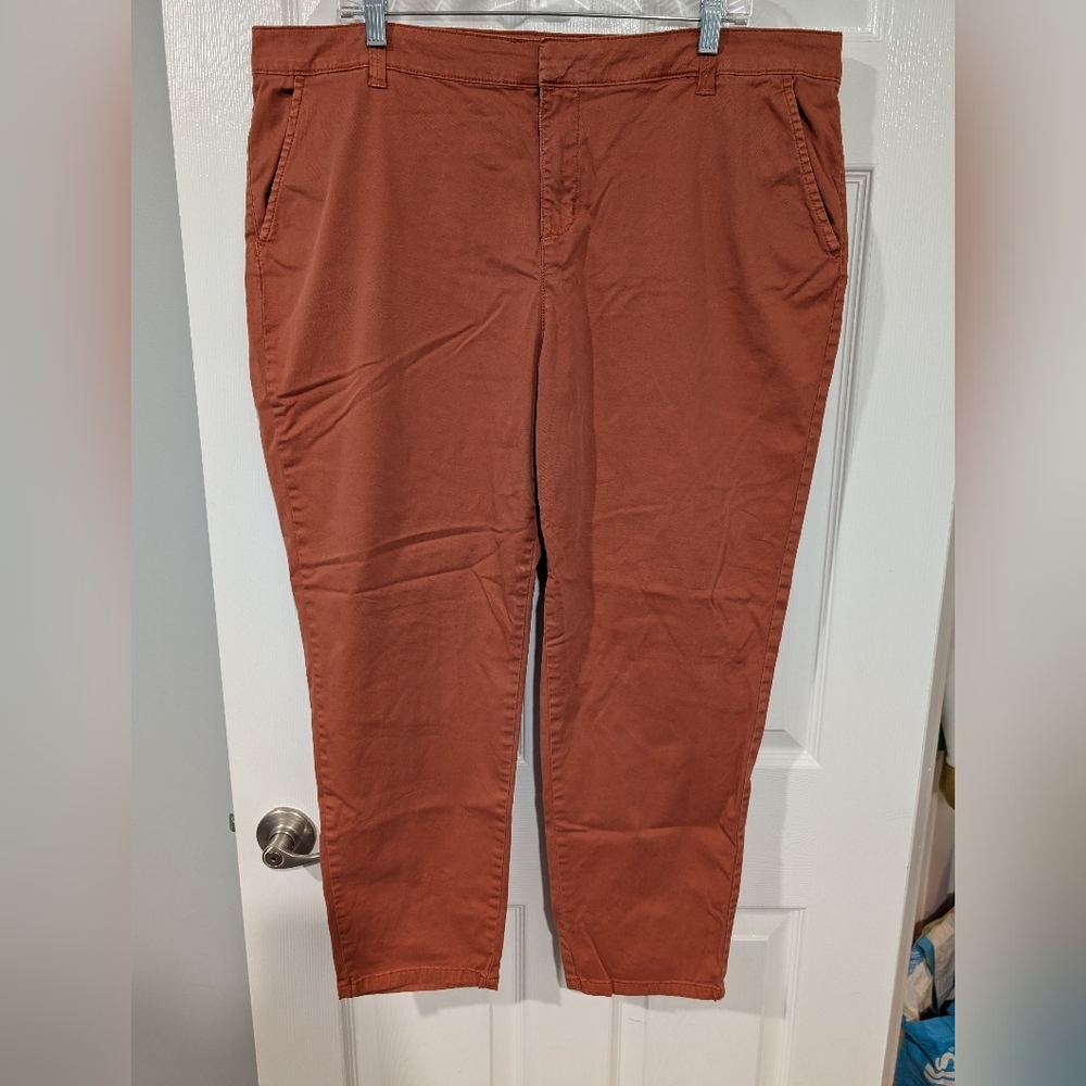 Style & Co Burnt Orange Chino Ankle Lenght Pants in Size 18
